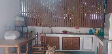 Boy hospitalized in Thailand following attack by escaped lion