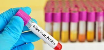 Costa Rica confirms first yellow fever case in nearly 70 years