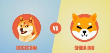 DOGE vs SHIB showdown  — Emerging altcoin top dog now leading the ‘best crypto to buy now’ list