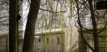 MPs accuse Home Office of ‘squandering billions’ on asylum hotels