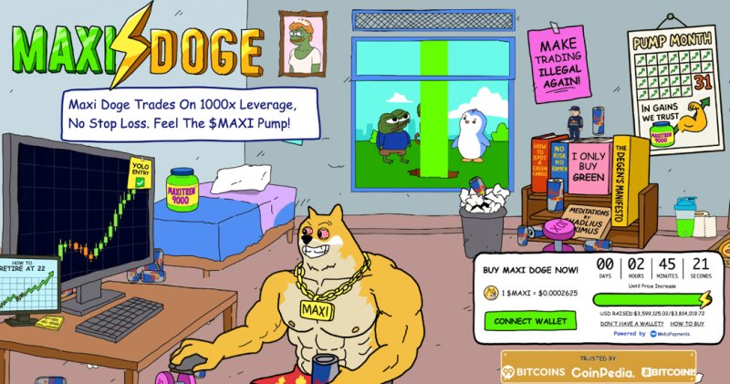 News about - DOGE vs SHIB showdown  — Emerging altcoin top dog now leading the ‘best crypto to buy now’ list