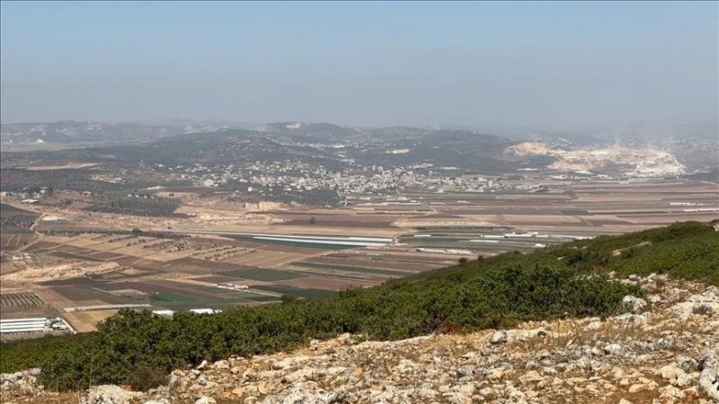 Israeli settler attacks elderly Palestinian woman in occupied West Bank