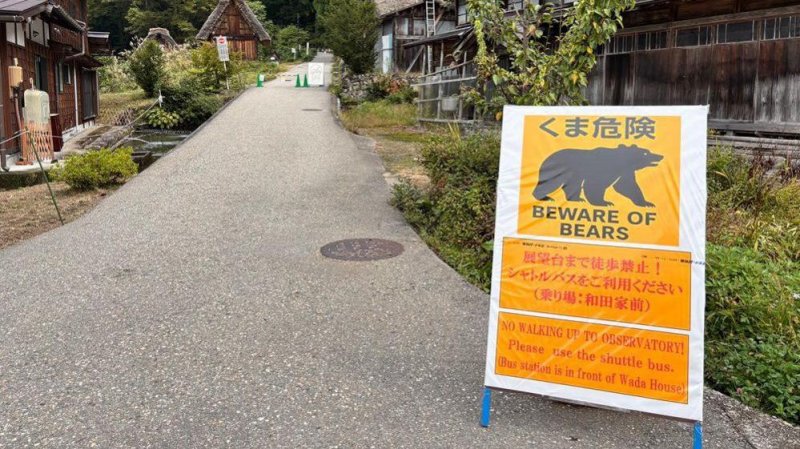 Bear attack feared after woman found dead in Japan mountains
