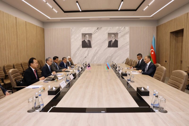 Azerbaijan and Malaysia discuss cooperation in ICT sector
