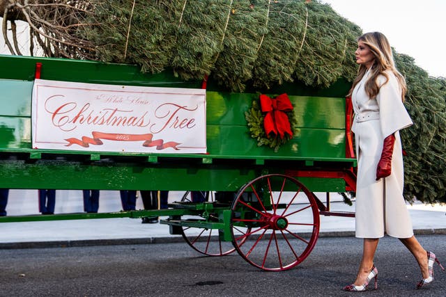 Melania Trump receives White House Christmas tree