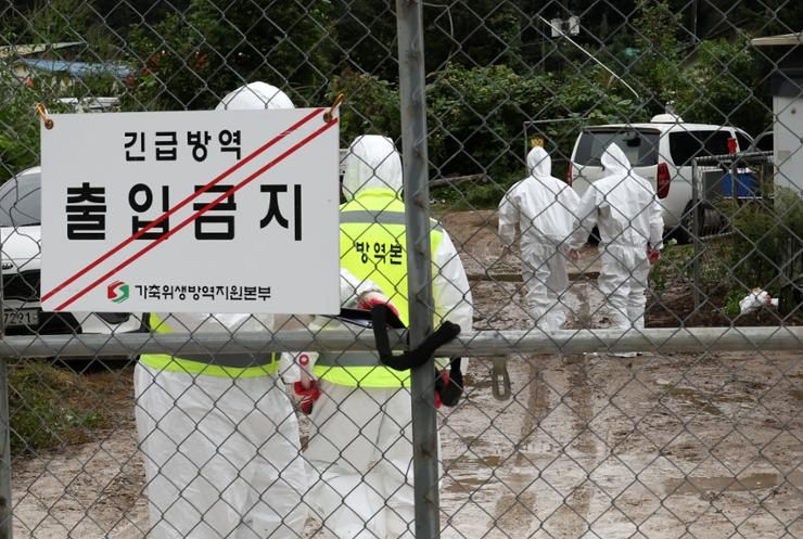 S. Korea raises nationwide alert after sixth swine fever case