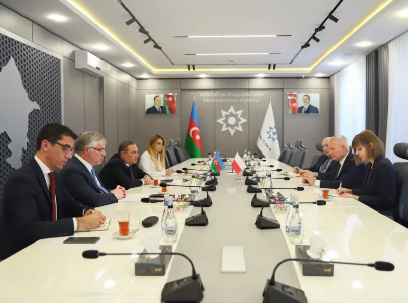 Azerbaijan and Poland discuss demining cooperation
