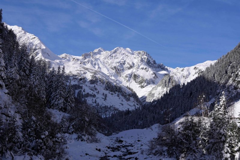 Avalanche sweeps through Austrian Alps, sparking major rescue effort