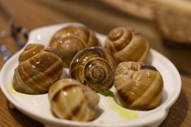 Thieves steal 90,000 euros of snails intended for top French restaurants