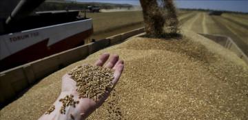 Russia launches pilot project for fertilizer labeling
