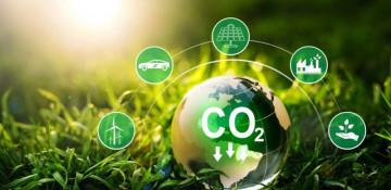 What is a carbon footprint and how to reduce it