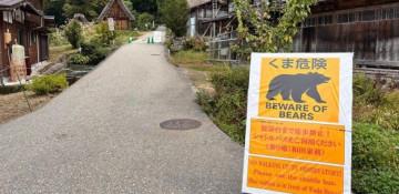 Bear attack feared after woman found dead in Japan mountains