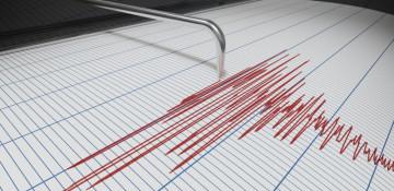 Magnitude 4.9 quake jolts western Türkiye