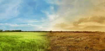 How countries are fighting climate change