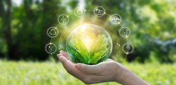 What is the “green economy” and why it is important