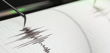 Magnitude 4.9 earthquake strikes near New Zealand capital