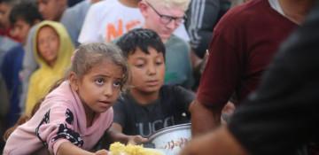 Aid entering Gaza ‘wholly insufficient’, says Norwegian refugee council