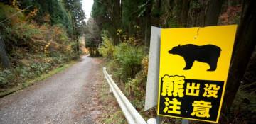 Japan authorizes police rifle use to combat growing bear threat