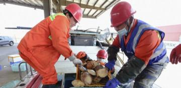 Japan restarts seafood exports to China after 2-year halt