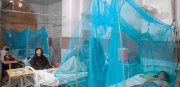 Pakistan's Sindh sees surge in dengue infections