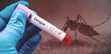Pakistan's Sindh reports over 1,200 new dengue cases