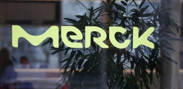 Merck KGaA signs AI-driven drug discovery deal with Valo worth over $3 billion