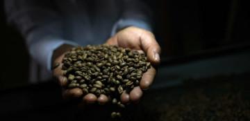 Global coffee prices plunge after Trump removes tariffs on Brazil 