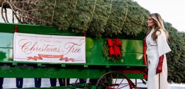 Melania Trump receives White House Christmas tree