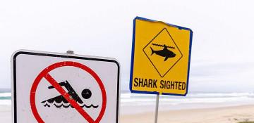 Bull shark kills woman, injures man off Australia beach