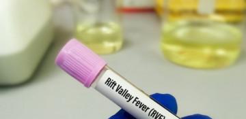 Namibia issues alert after Rift Valley fever hits South Africa