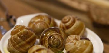 Thieves steal 90,000 euros of snails intended for top French restaurants