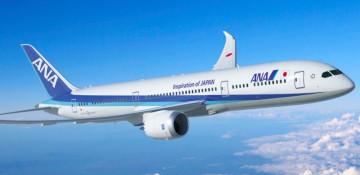 ANA cancels 95 flights over Airbus software issue