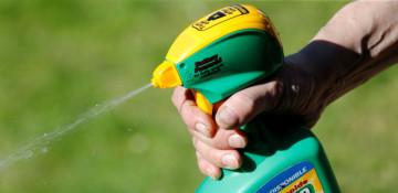 Roundup: 5 years after Germany's plastic bag ban, greens call for tougher rules 