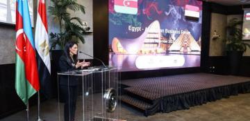 Azerbaijan-Egypt business forum highlights new investment opportunities