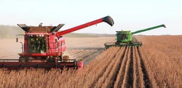 China moves to accelerate modernization of state forestry farms 