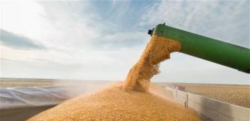 Kazakh grain transit to Armenia begins via Azerbaijan