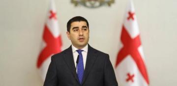 Brussels should reimburse costs of Saakashvili’s clinic stay - Georgian speaker 