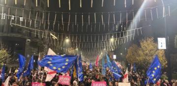 Tbilisi march marks protest anniversary over stalled EU bid