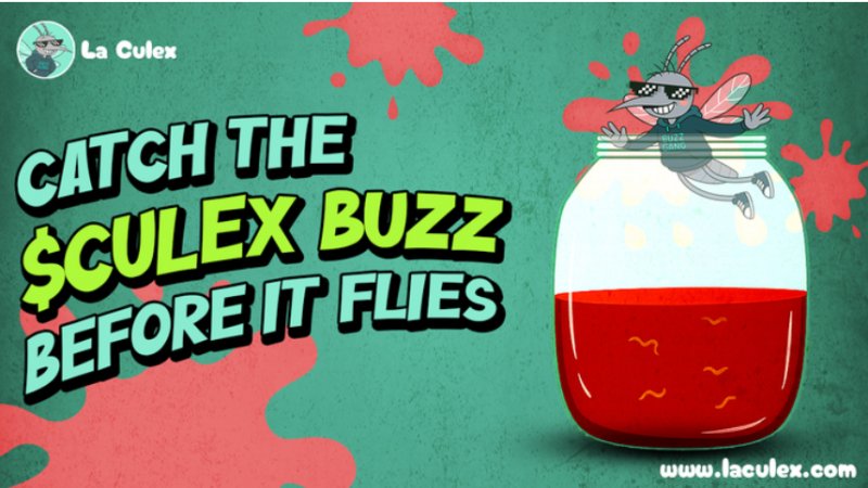 News about - 8 projects In the arena: Is #1 the top crypto presale to buy?