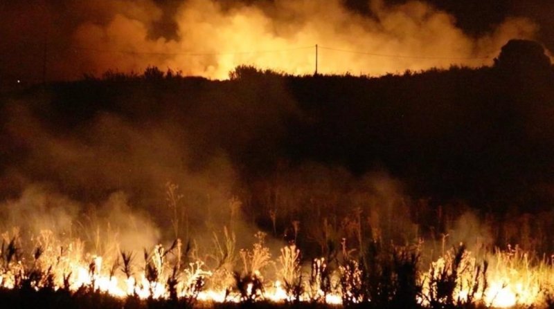 South Korea extinguishes Gangwon wildfire after 17-hour battle 