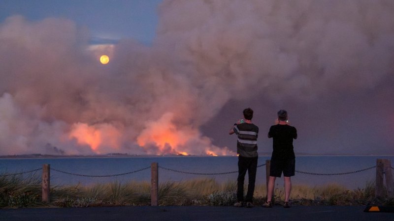 Extreme heat hits Sydney as Tasmania bushfires rage