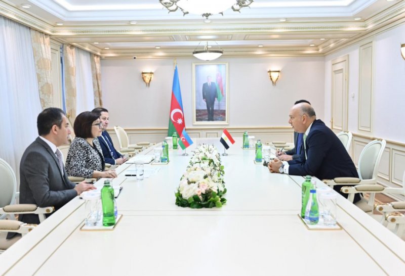 Azerbaijan, Egypt mull parliament ties 
