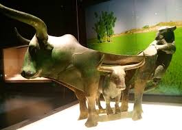 Dynamic history of East Asian cattle demonstrates prehistoric civilization exchanges: study 