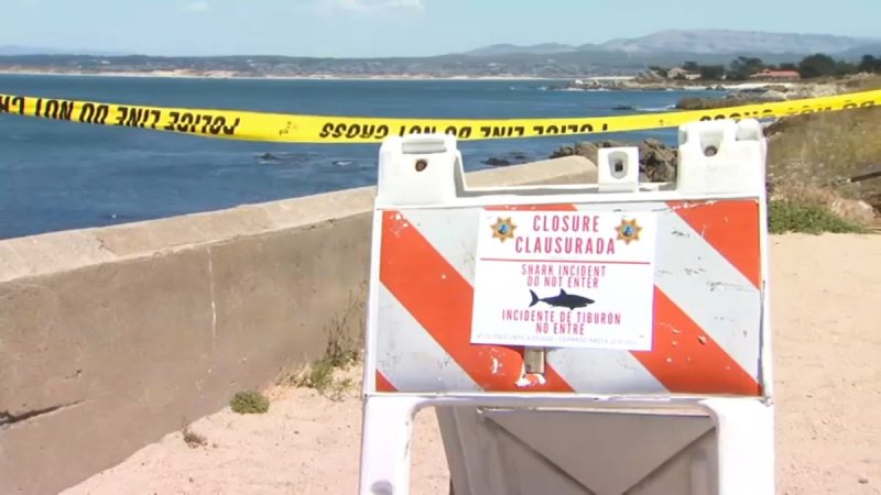 Swimmer missing in possible shark attack in Pacific Grove