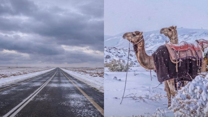 Rare snowfall blankets parts of Saudi Arabia after 30 years -  VIDEO 
