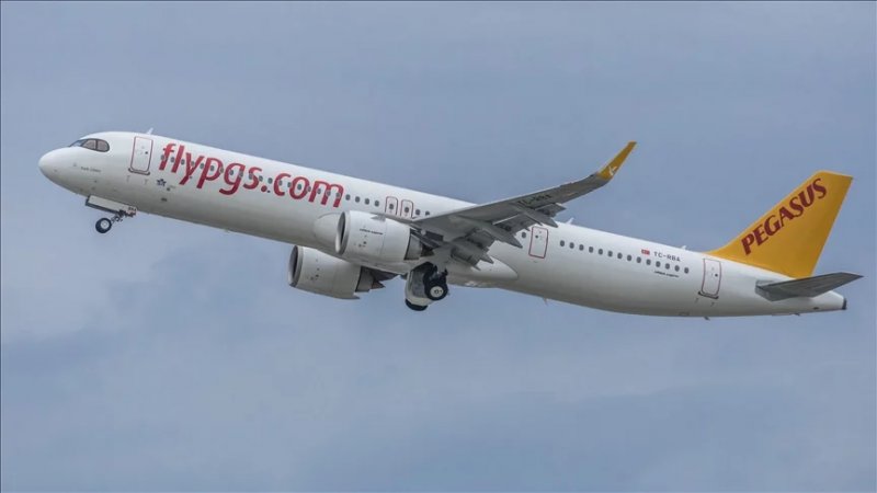 Türkiye's Pegasus Airlines acquires Czech airline Smartwings
