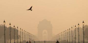 Pollution crisis: Delhi sees surge in respiratory illnesses