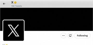 EU fines X $140m as TikTok escapes penalty