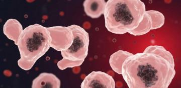 India's Kerala sees surge in brain-eating amoeba cases