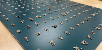 Over 11,000 diamonds seized from passenger at Frankfurt Airport
